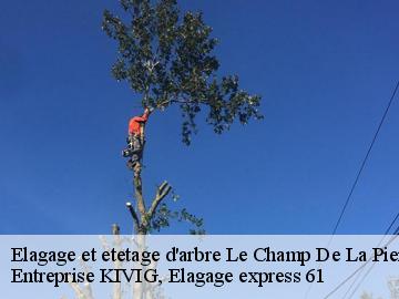 Elagage et etetage d'arbre  le-champ-de-la-pierre-61320 Entreprise KIVIG, Elagage express 61