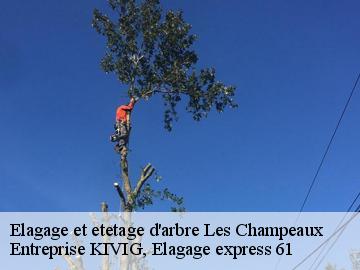 Elagage et etetage d'arbre  les-champeaux-61120 Entreprise KIVIG, Elagage express 61