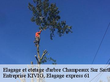 Elagage et etetage d'arbre  champeaux-sur-sarthe-61560 Entreprise KIVIG, Elagage express 61