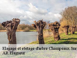 Elagage et etetage d'arbre  champeaux-sur-sarthe-61560 Entreprise KIVIG, Elagage express 61