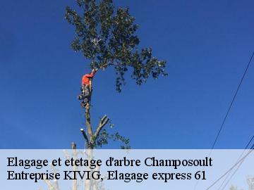 Elagage et etetage d'arbre  champosoult-61120 Entreprise KIVIG, Elagage express 61
