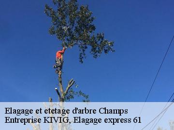 Elagage et etetage d'arbre  champs-61190 Entreprise KIVIG, Elagage express 61