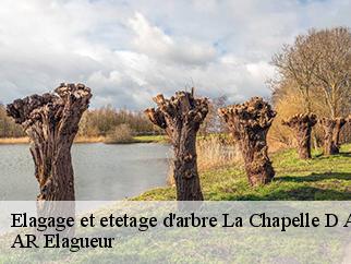 Elagage et etetage d'arbre  la-chapelle-d-andaine-61140 Entreprise KIVIG, Elagage express 61