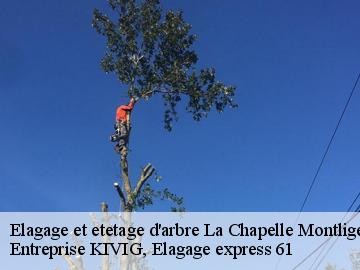Elagage et etetage d'arbre  la-chapelle-montligeon-61400 Entreprise KIVIG, Elagage express 61