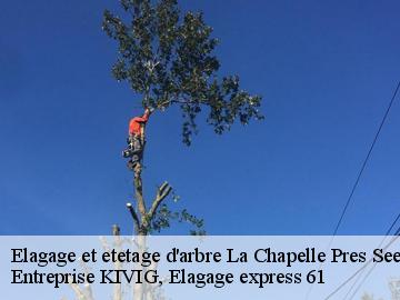 Elagage et etetage d'arbre  la-chapelle-pres-sees-61500 Entreprise KIVIG, Elagage express 61
