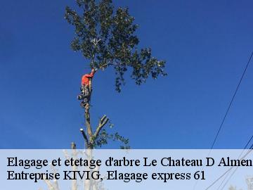 Elagage et etetage d'arbre  le-chateau-d-almeneches-61570 Entreprise KIVIG, Elagage express 61