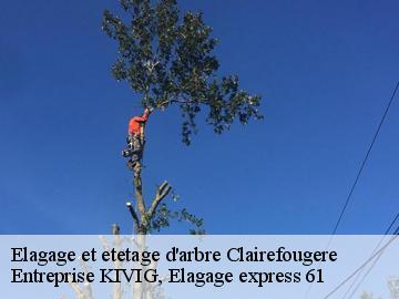 Elagage et etetage d'arbre  clairefougere-61800 Entreprise KIVIG, Elagage express 61