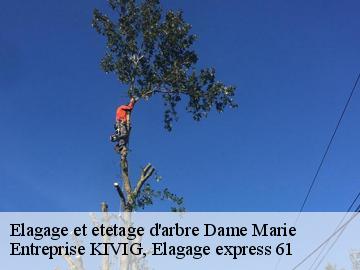 Elagage et etetage d'arbre  dame-marie-61130 Entreprise KIVIG, Elagage express 61