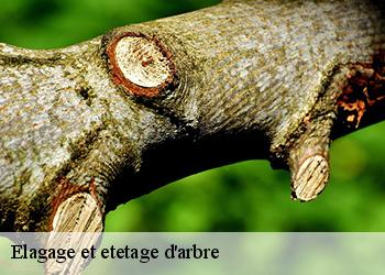 Elagage et etetage d'arbre