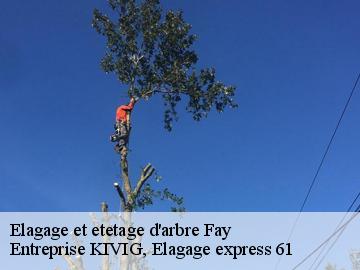 Elagage et etetage d'arbre  fay-61390 Entreprise KIVIG, Elagage express 61