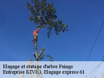 Elagage et etetage d'arbre  feings-61400 Entreprise KIVIG, Elagage express 61