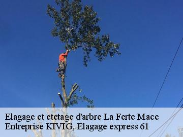 Elagage et etetage d'arbre  la-ferte-mace-61600 Entreprise KIVIG, Elagage express 61