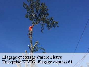 Elagage et etetage d'arbre  fleure-61200 Entreprise KIVIG, Elagage express 61