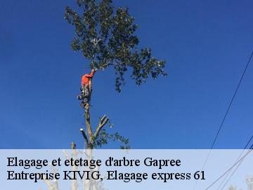 Elagage et etetage d'arbre  gapree-61390 Entreprise KIVIG, Elagage express 61