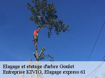 Elagage et etetage d'arbre  goulet-61150 Entreprise KIVIG, Elagage express 61