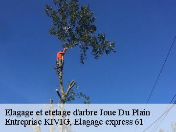 Elagage et etetage d'arbre  joue-du-plain-61150 Entreprise KIVIG, Elagage express 61