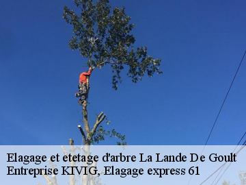 Elagage et etetage d'arbre  la-lande-de-goult-61320 Entreprise KIVIG, Elagage express 61