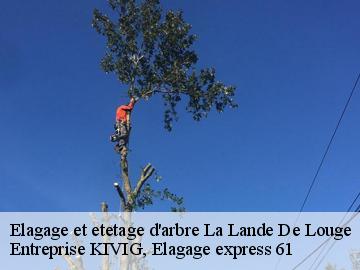 Elagage et etetage d'arbre  la-lande-de-louge-61210 Entreprise KIVIG, Elagage express 61