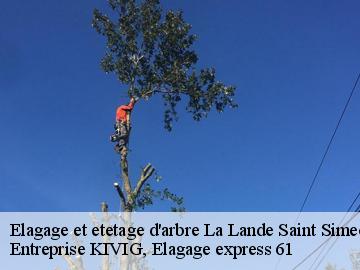 Elagage et etetage d'arbre  la-lande-saint-simeon-61100 Entreprise KIVIG, Elagage express 61