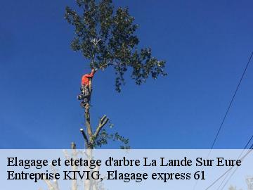 Elagage et etetage d'arbre  la-lande-sur-eure-61290 Entreprise KIVIG, Elagage express 61