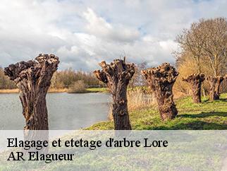 Elagage et etetage d'arbre lore-61330 AR Elagueur