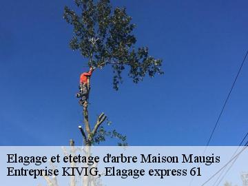 Elagage et etetage d'arbre  maison-maugis-61110 Entreprise KIVIG, Elagage express 61