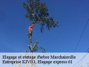 Elagage et etetage d'arbre  marchainville-61290 Entreprise KIVIG, Elagage express 61