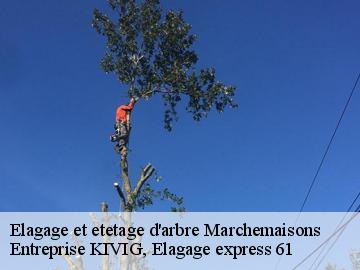 Elagage et etetage d'arbre  marchemaisons-61170 Entreprise KIVIG, Elagage express 61