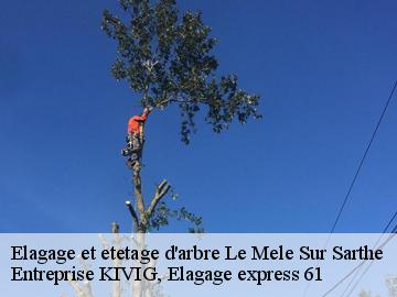 Elagage et etetage d'arbre  le-mele-sur-sarthe-61170 Entreprise KIVIG, Elagage express 61
