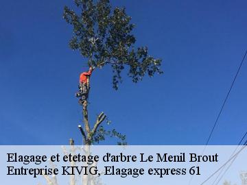 Elagage et etetage d'arbre  le-menil-brout-61250 Entreprise KIVIG, Elagage express 61