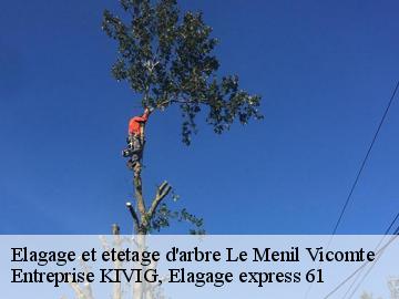 Elagage et etetage d'arbre  le-menil-vicomte-61240 Entreprise KIVIG, Elagage express 61