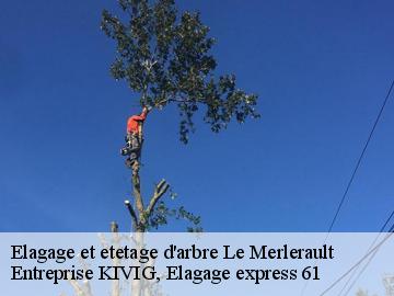 Elagage et etetage d'arbre  le-merlerault-61240 Entreprise KIVIG, Elagage express 61