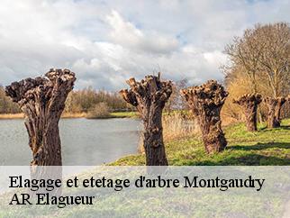 Elagage et etetage d'arbre montgaudry-61360 AR Elagueur