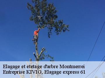 Elagage et etetage d'arbre  montmerrei-61570 Entreprise KIVIG, Elagage express 61