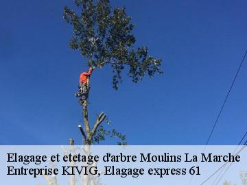 Elagage et etetage d'arbre  moulins-la-marche-61380 Entreprise KIVIG, Elagage express 61