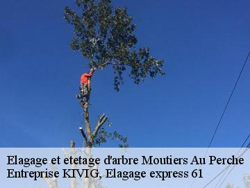 Elagage et etetage d'arbre  moutiers-au-perche-61110 Entreprise KIVIG, Elagage express 61