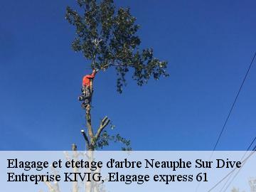 Elagage et etetage d'arbre  neauphe-sur-dive-61160 Entreprise KIVIG, Elagage express 61