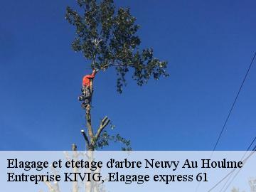 Elagage et etetage d'arbre  neuvy-au-houlme-61210 Entreprise KIVIG, Elagage express 61