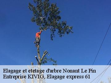 Elagage et etetage d'arbre  nonant-le-pin-61240 Entreprise KIVIG, Elagage express 61