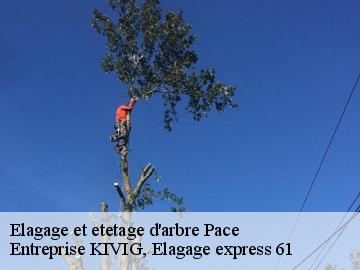 Elagage et etetage d'arbre  pace-61250 Entreprise KIVIG, Elagage express 61