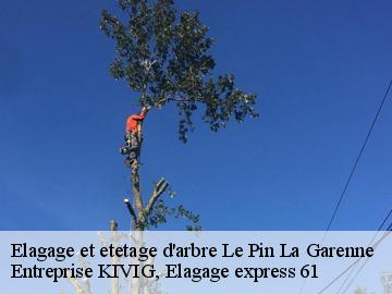 Elagage et etetage d'arbre  le-pin-la-garenne-61400 Entreprise KIVIG, Elagage express 61