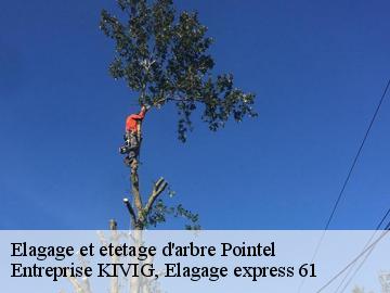 Elagage et etetage d'arbre  pointel-61220 Entreprise KIVIG, Elagage express 61
