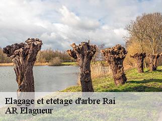 Elagage et etetage d'arbre rai-61270 AR Elagueur