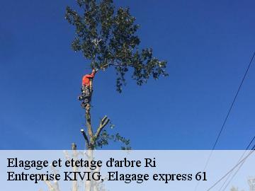 Elagage et etetage d'arbre  ri-61210 Entreprise KIVIG, Elagage express 61