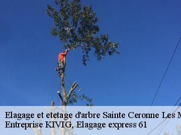 Elagage et etetage d'arbre  sainte-ceronne-les-mortagne-61380 Entreprise KIVIG, Elagage express 61