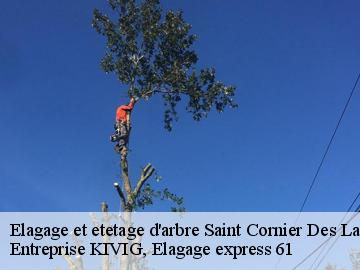Elagage et etetage d'arbre  saint-cornier-des-landes-61800 Entreprise KIVIG, Elagage express 61