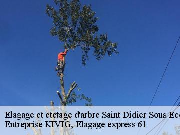 Elagage et etetage d'arbre  saint-didier-sous-ecouves-61320 Entreprise KIVIG, Elagage express 61