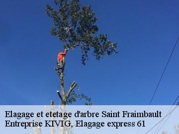 Elagage et etetage d'arbre  saint-fraimbault-61350 Entreprise KIVIG, Elagage express 61