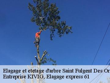 Elagage et etetage d'arbre  saint-fulgent-des-ormes-61130 Entreprise KIVIG, Elagage express 61