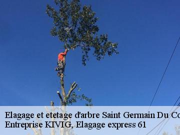 Elagage et etetage d'arbre  saint-germain-du-corbeis-61000 Entreprise KIVIG, Elagage express 61